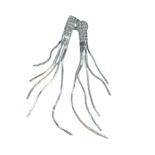 EARRINGS with tassels on a white background